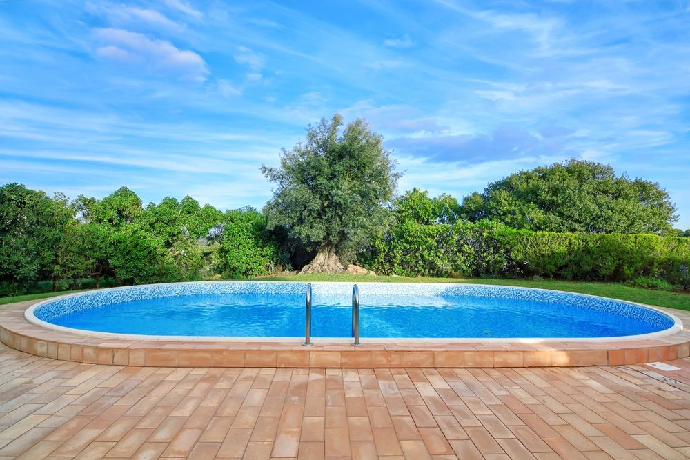 A Large Oval Swimming Pool Surrounded by Trees and Bushes on A Sunny Day —
Whitsunday Pool Service in Cannonvale, QLD 