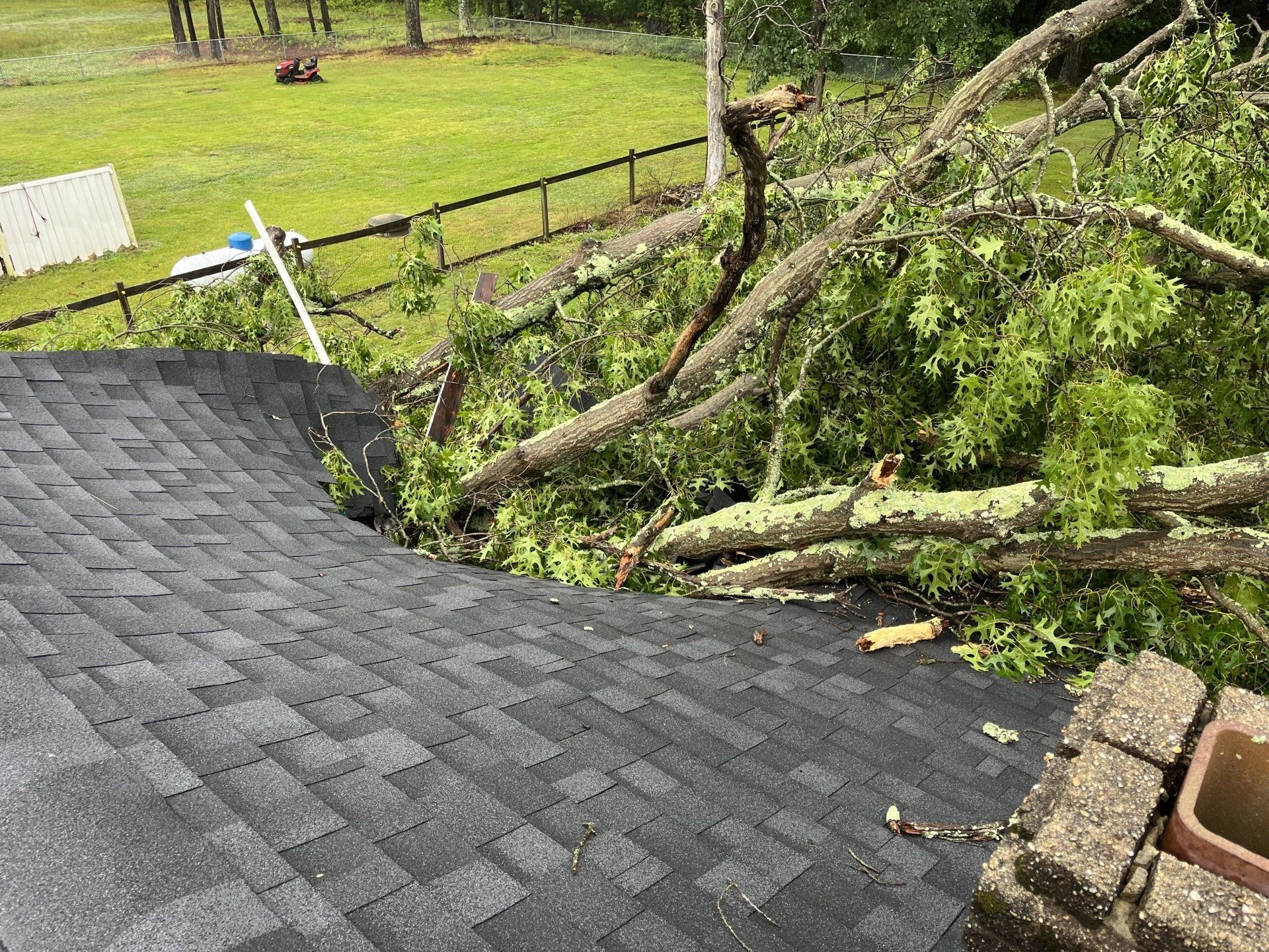 Image of tree damage on roof of Richmond VA home.