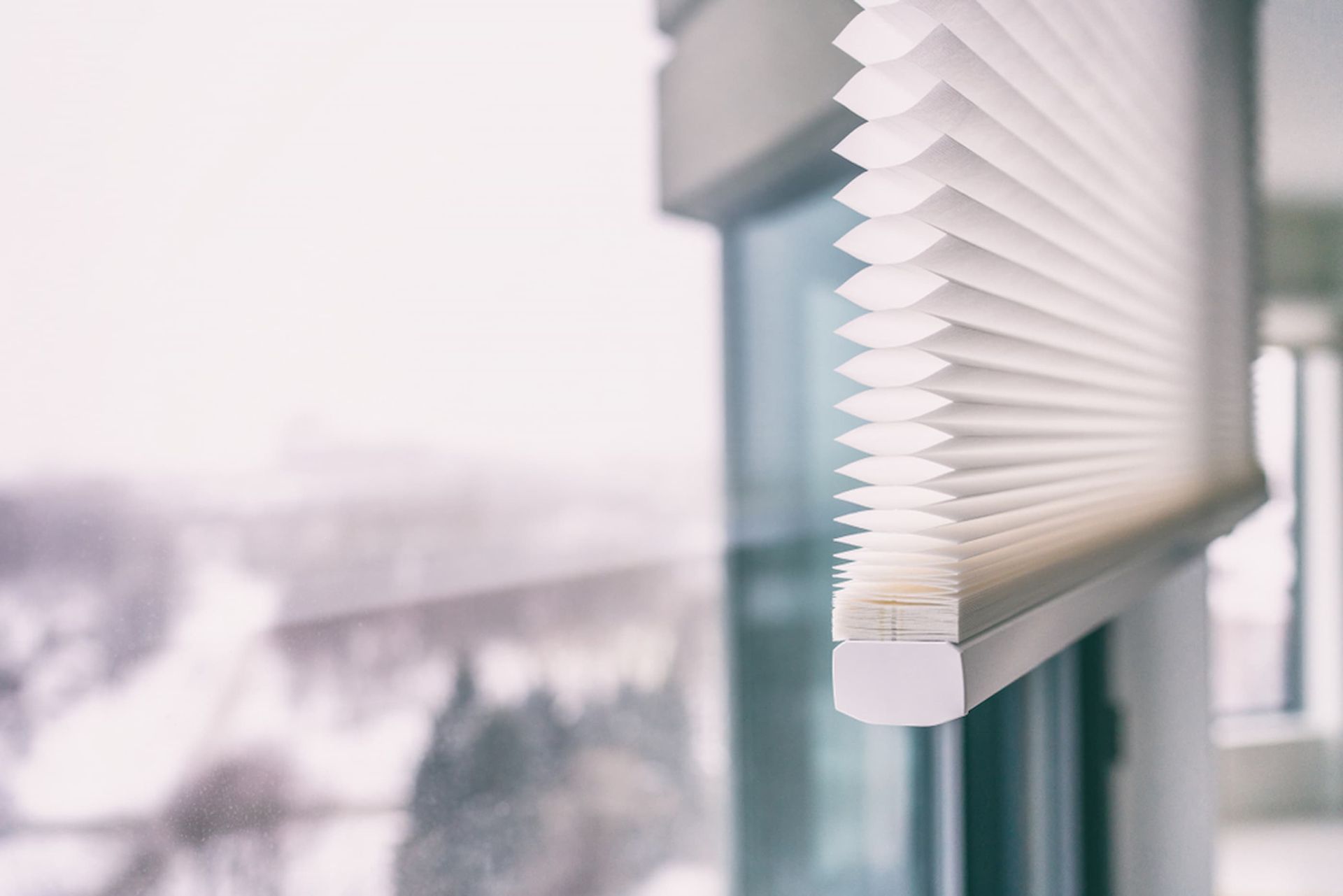 A Close-up Of a Honeycomb Blind on A Window — Winning Blinds in Cardiff, NSW
