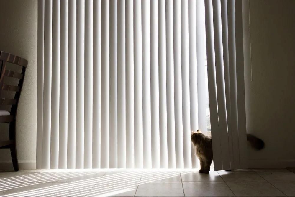 White Vertical Blinds In Newcastle