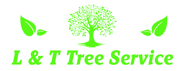 Tree Services | Elkin, NC | L & T Tree Service
