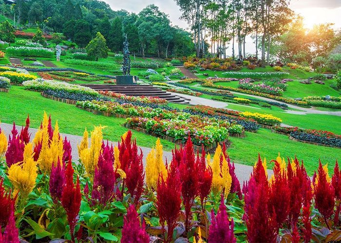 A garden filled with lots of colorful flowers and trees.