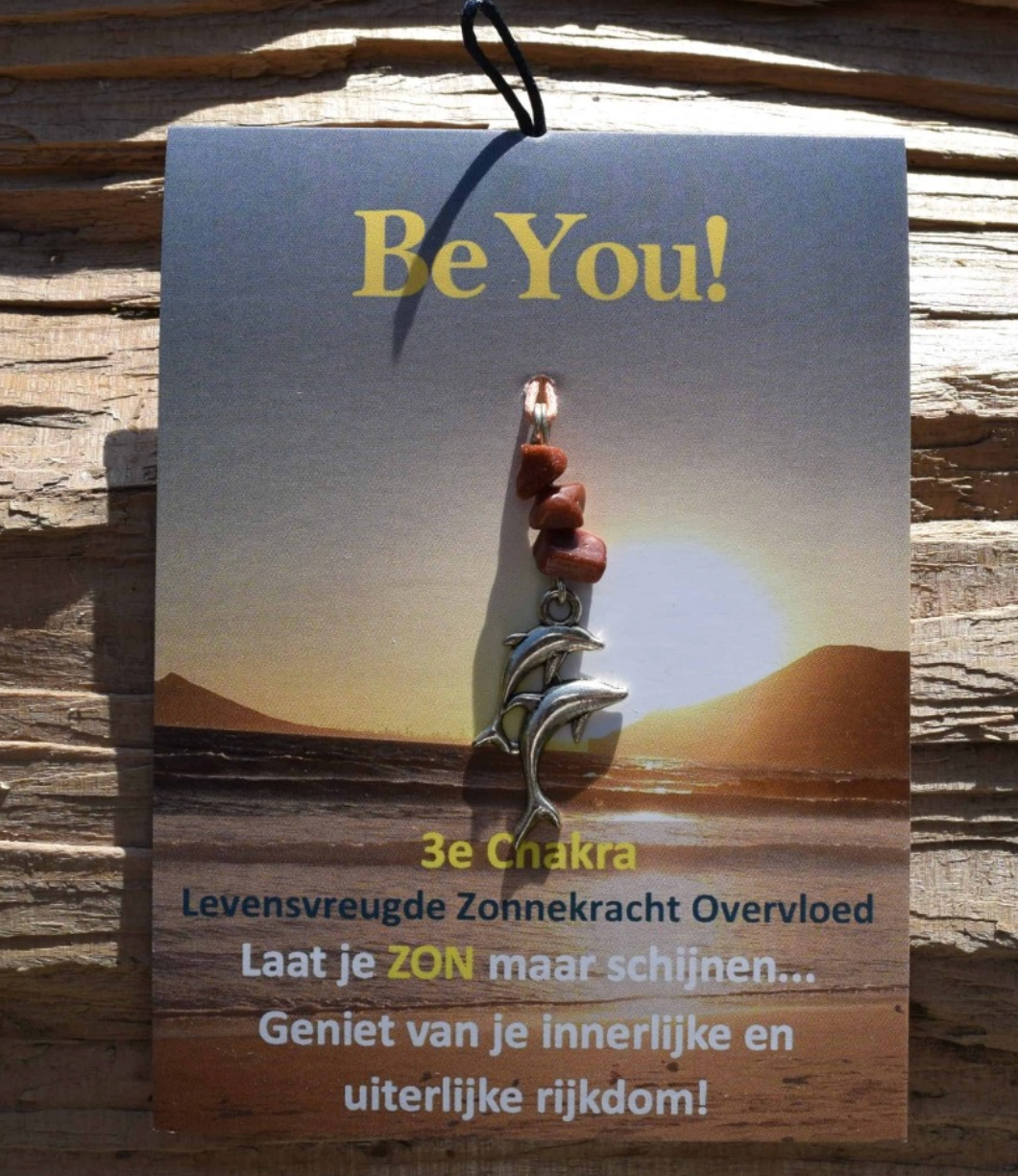 Kaart met dolfijnbedeltje en tekst: