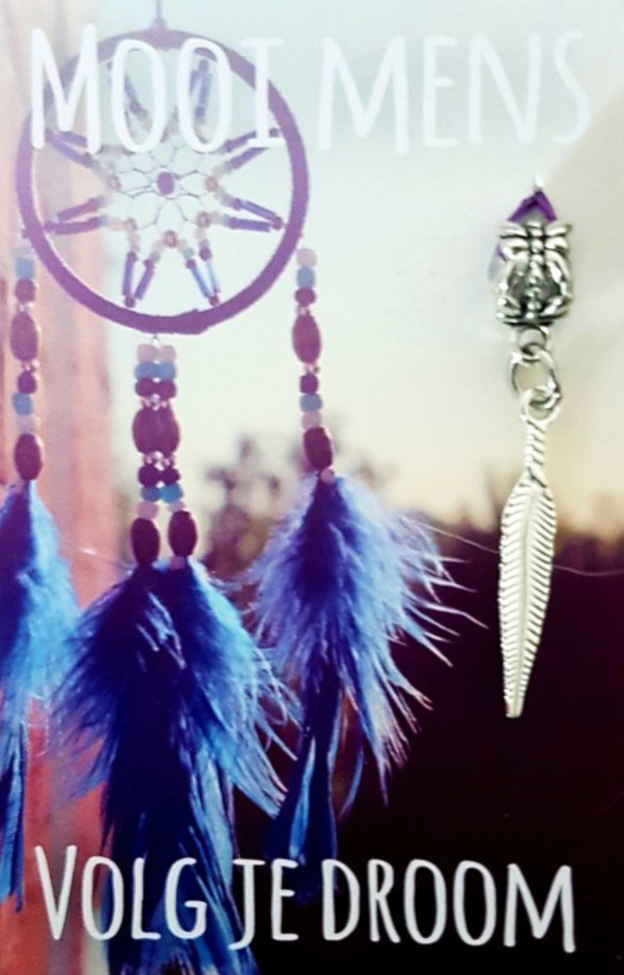 Dreamcatcher with blue feathers and text