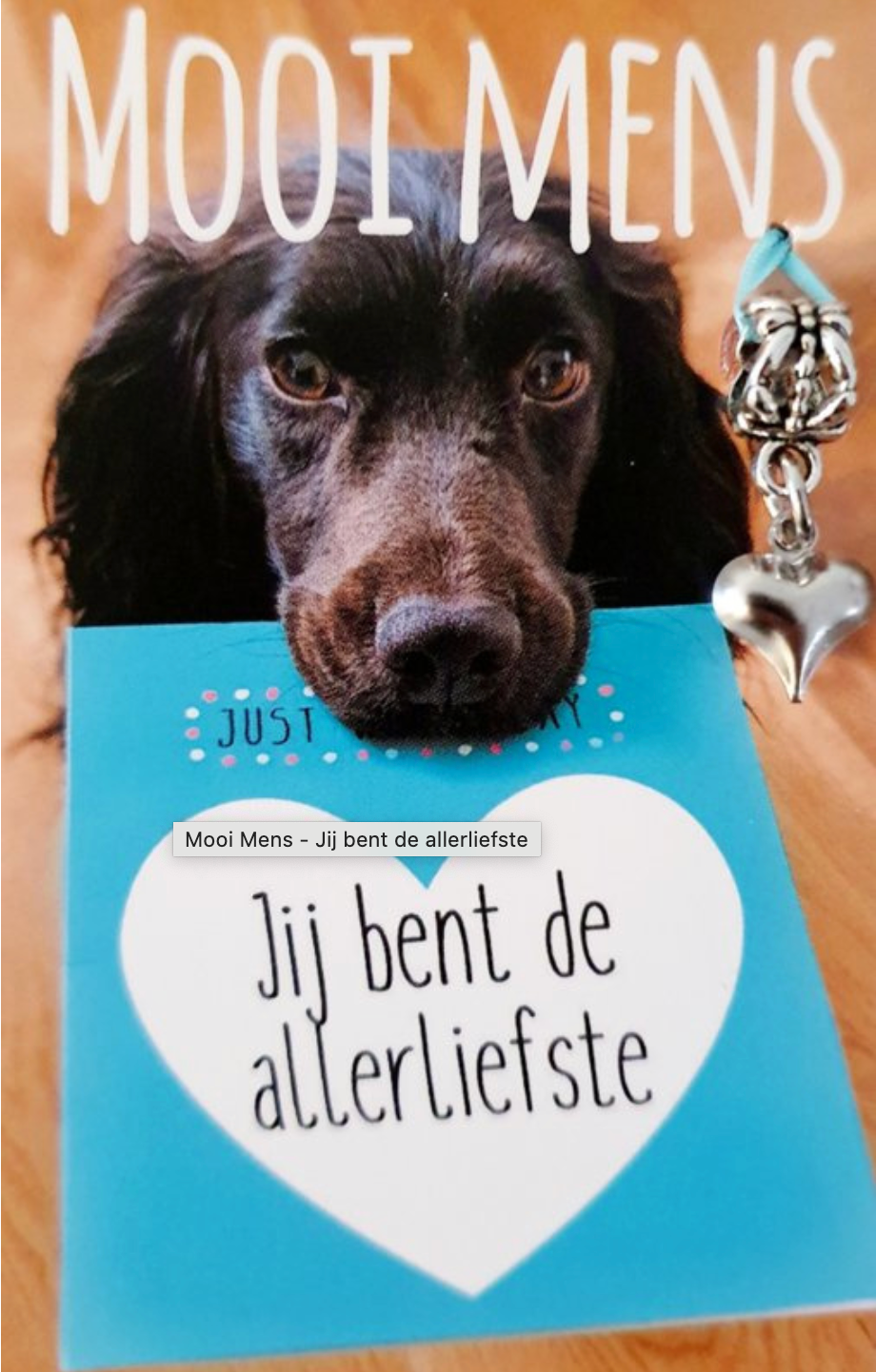 Een zwarte hond met expressieve ogen rust op een blauw boek