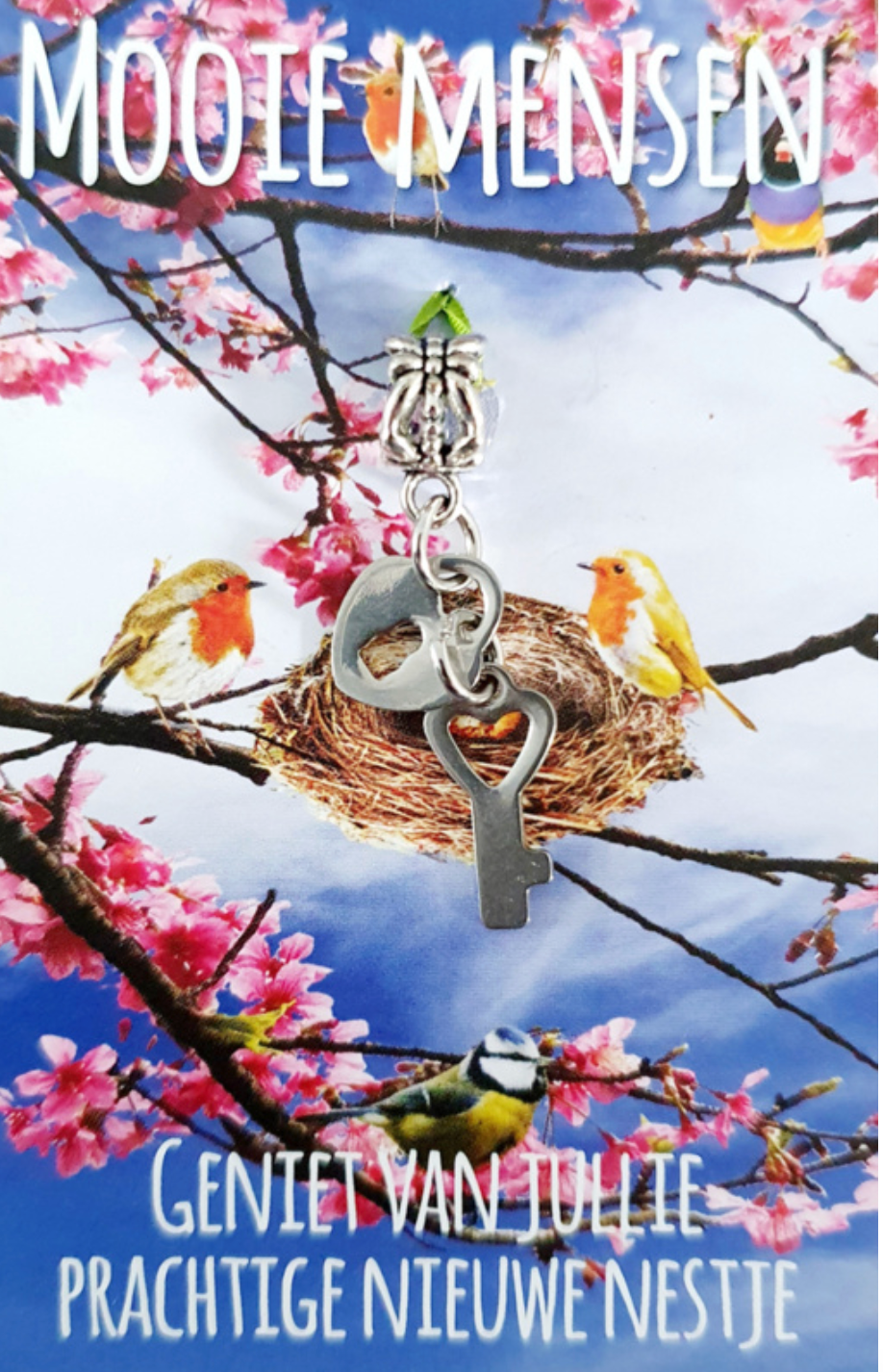 Key with nest and birds on flowered background. Text reads