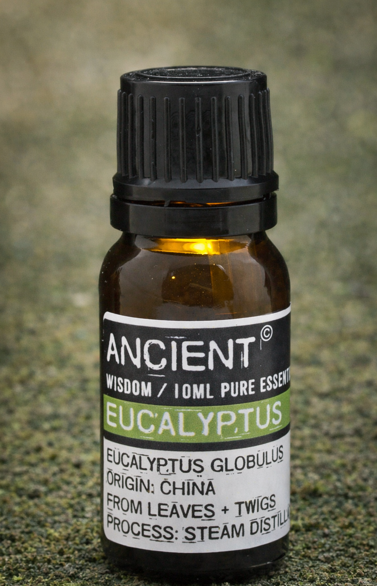 Klein bruin flesje eucalyptusolie met zwarte dop en wit etiket.