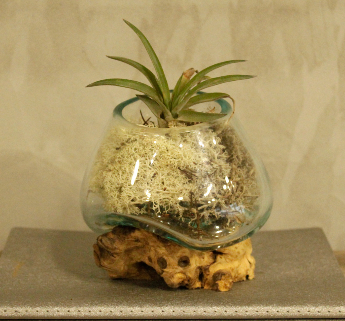 Glazen terrarium gebeeldhouwd interieur, geplaatst op een verweerde houten sokkel buiten te midden van groen.