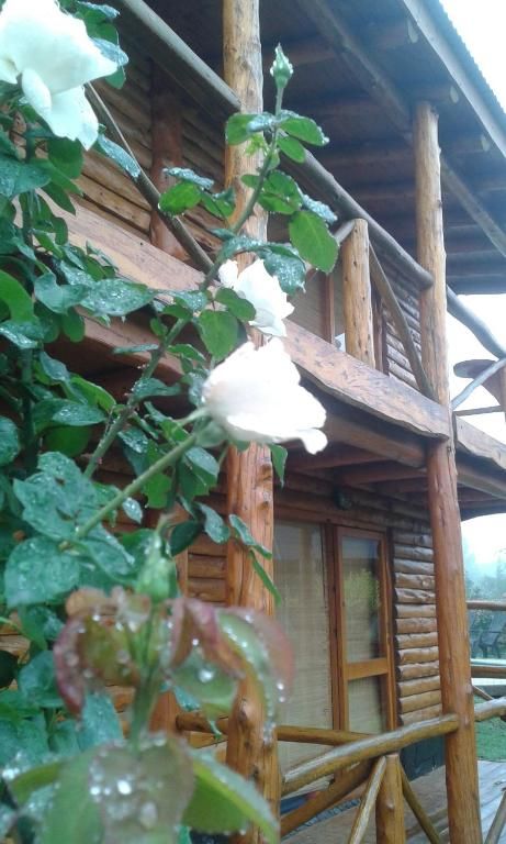 Exterior de caba&ntilde;a con patio privado