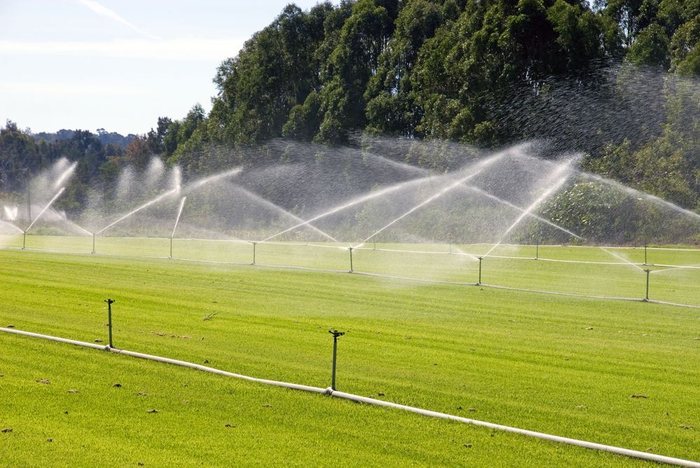 A Soccer Field is Being Watered With Sprinklers on a Sunny Day — Stockers & Partridge In Paterson, NSW