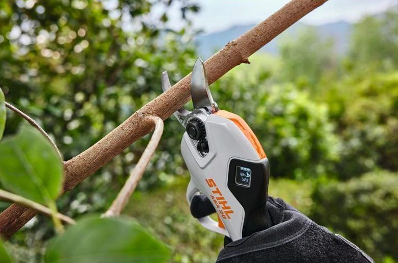 A Person is Cutting a Tree Branch With a Pair of Scissors — Stockers & Partridge In Paterson, NSW