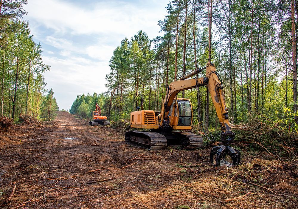 Land clearing and vegetation removal in Phoenix for a new build