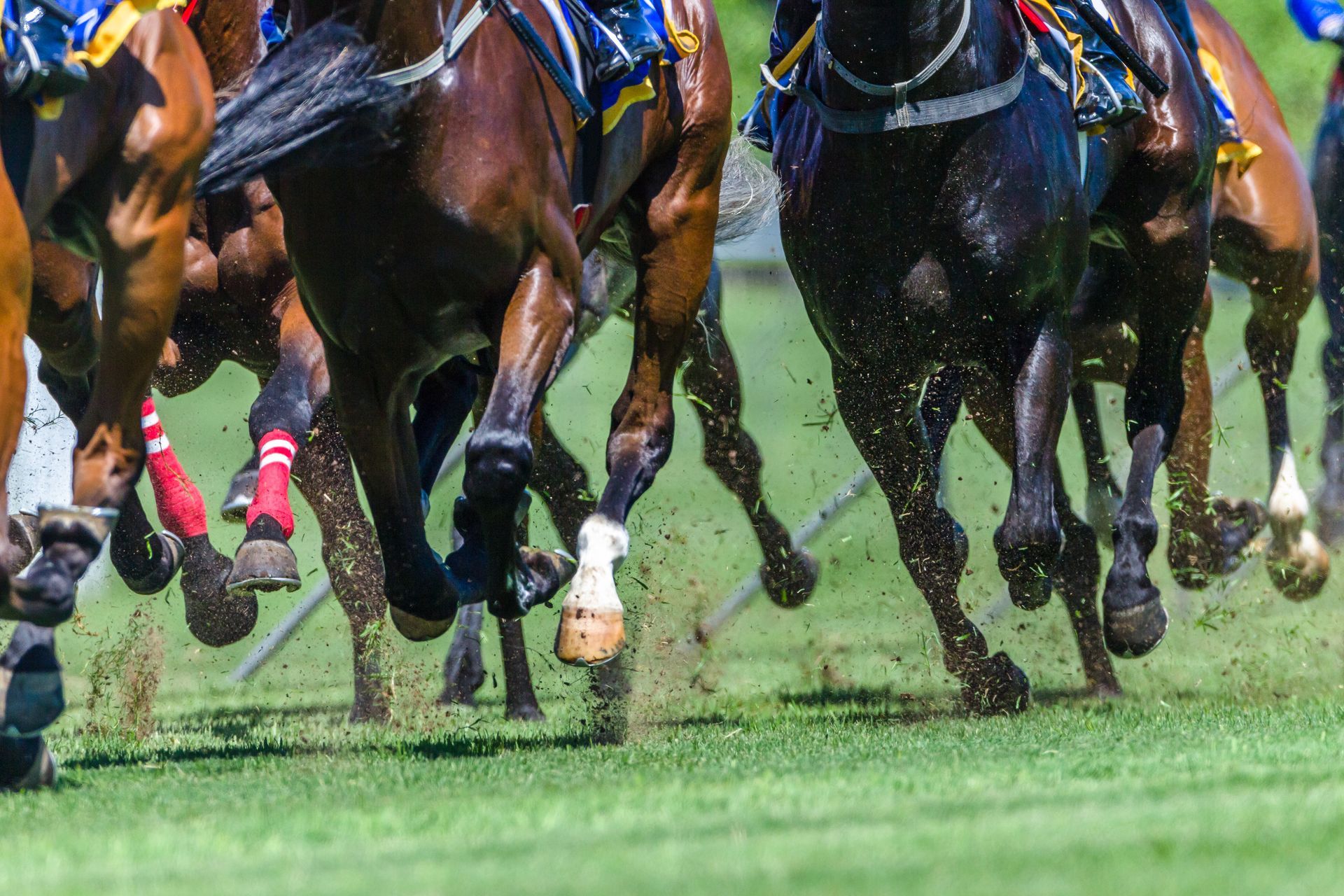 Several horses running at speed on a turf racetrack, their hooves kicking up dirt and turf.