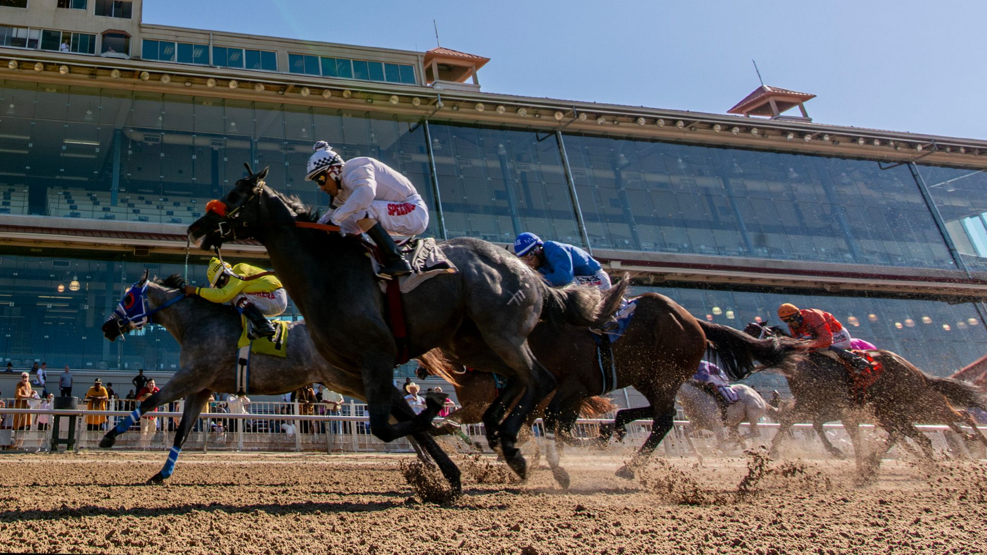 Carrera de caballos con jinetes agachados mientras un grupo galopa junto a la tribuna en una pista de tierra.
