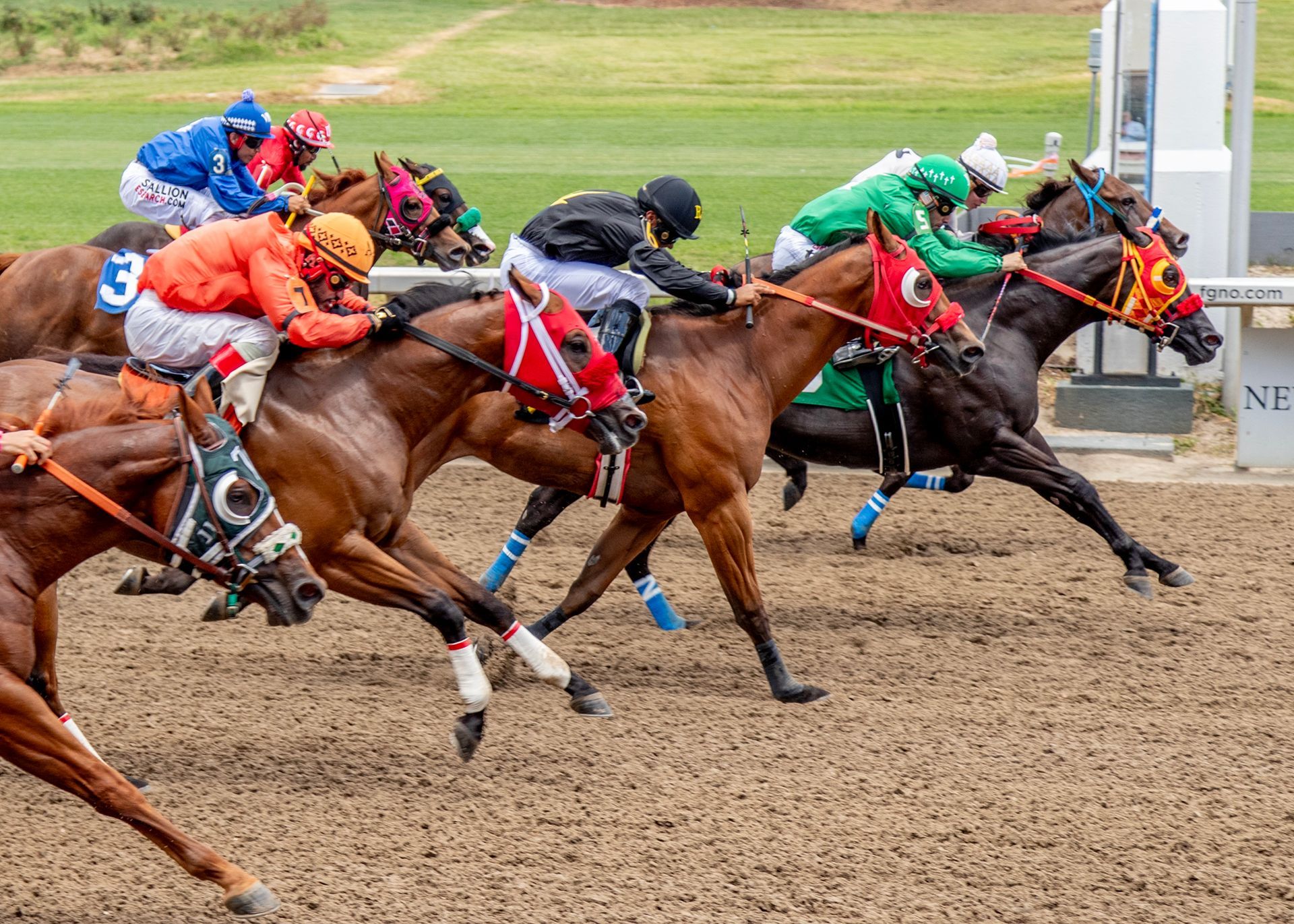 Jockeys racing horses on a dirt track, with a black and white striped pole standing in the background.