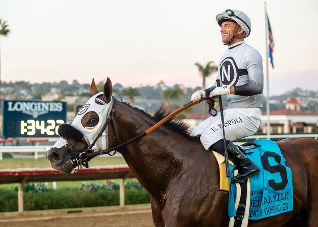 Jockey on brown horse at racetrack, wearing white silks and blue saddlecloth, with scoreboard in background