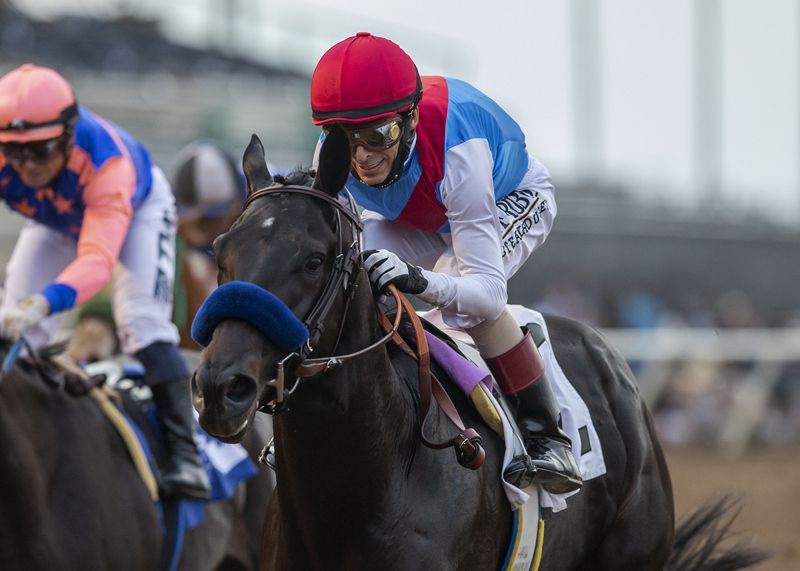 A jockey in a red helmet and blue and red silks races a dark horse on a track, with another racer visible nearby.