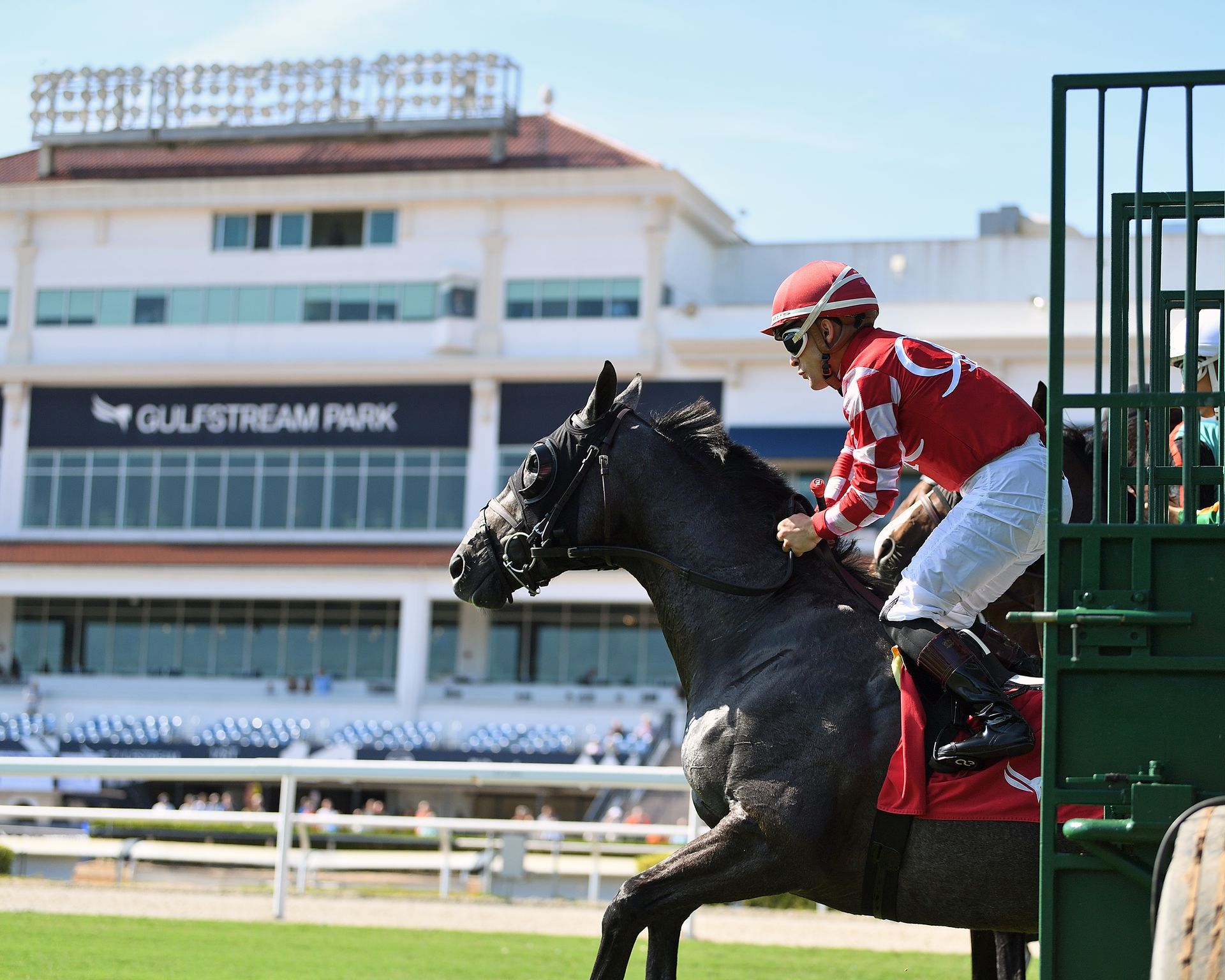 Caballo y jinete saliendo disparados de la puerta de salida en el hipódromo de Gulfstream Park.