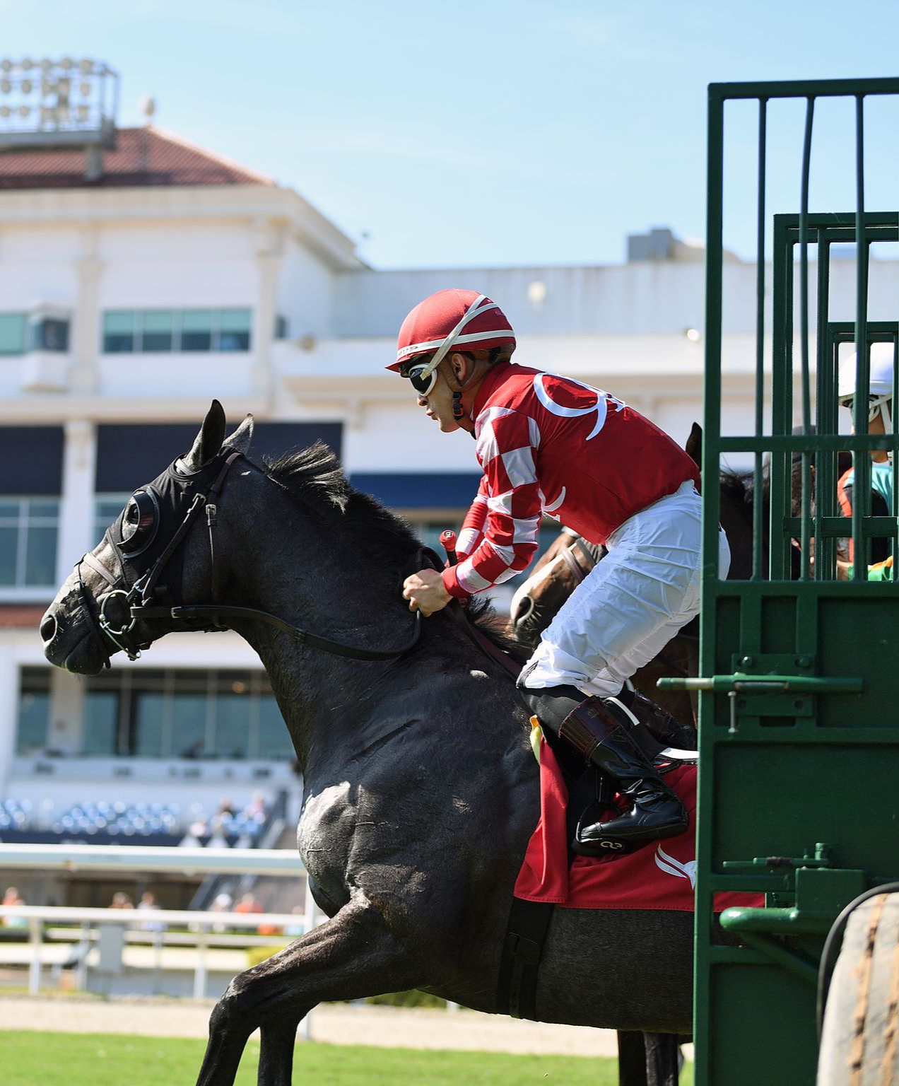 A jockey in a red and white checkered racing uniform rides a black horse leaving the starting gate at a racetrack.