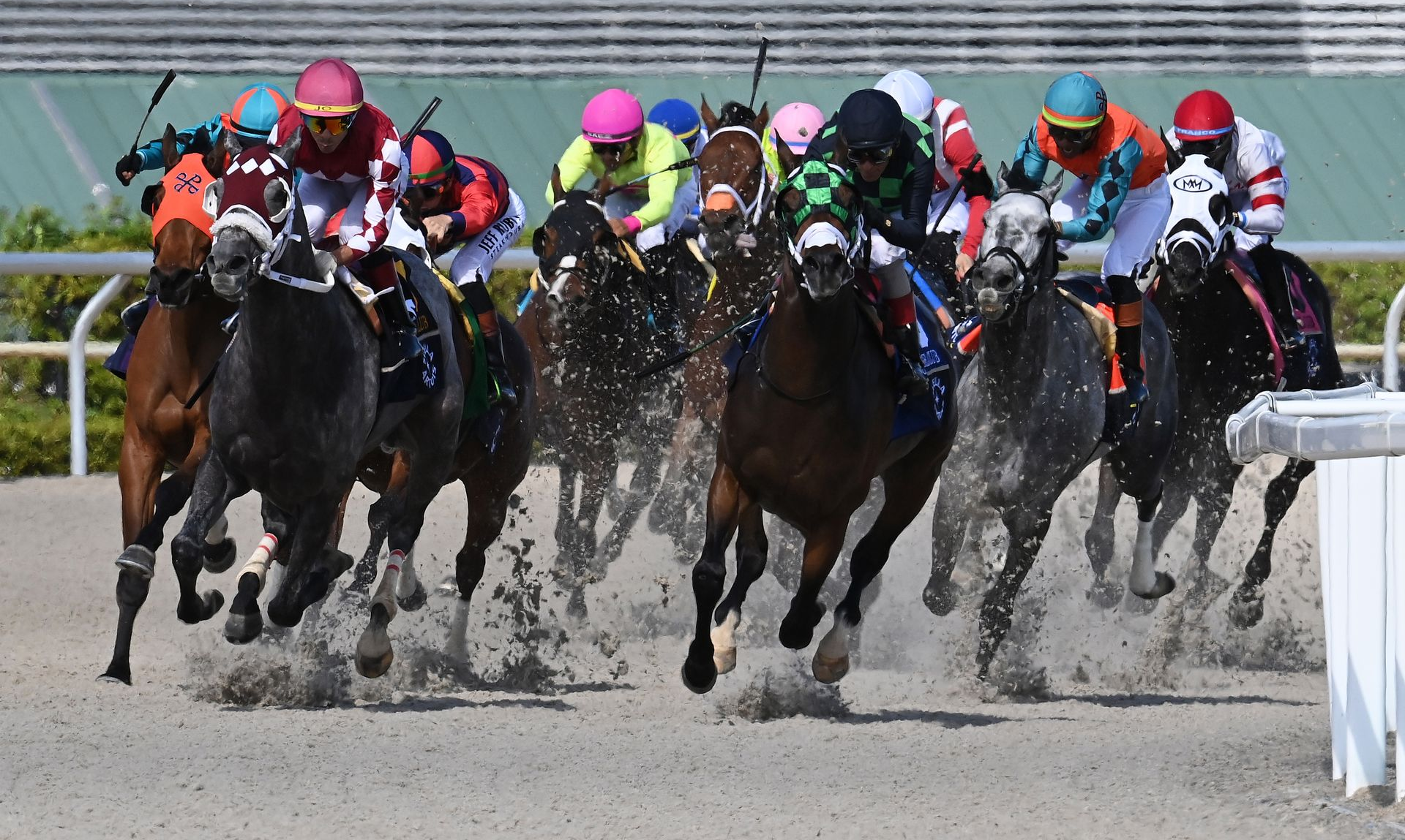 Jockeys on galloping racehorses kick up dirt during a close horse race on a track.