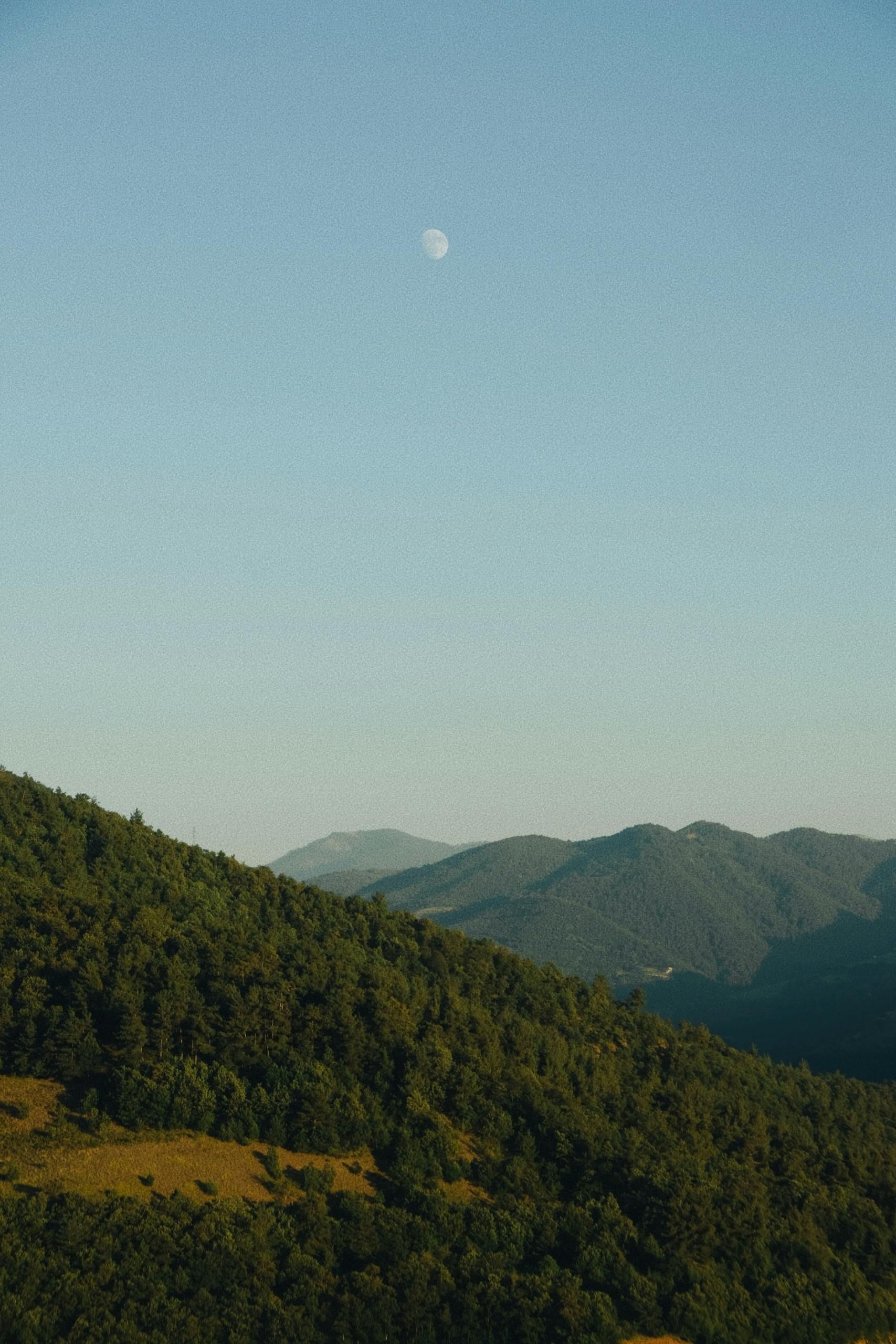 Blue sky over green forested mountains with a small moon visible above the ridgeline