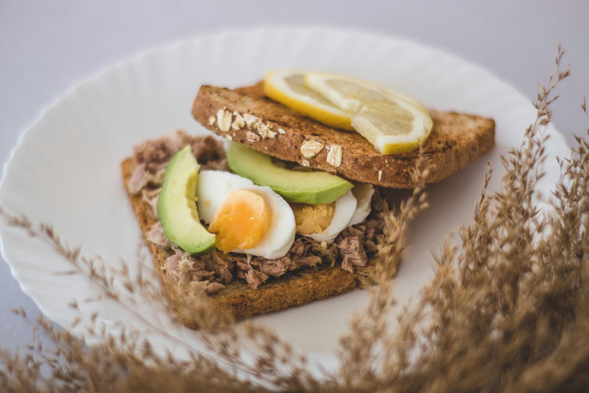 An open-faced tuna, avocado, and hard-boiled egg sandwich on toasted oat bread topped with lemon slices on a white plate.