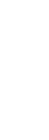 Empty white background.