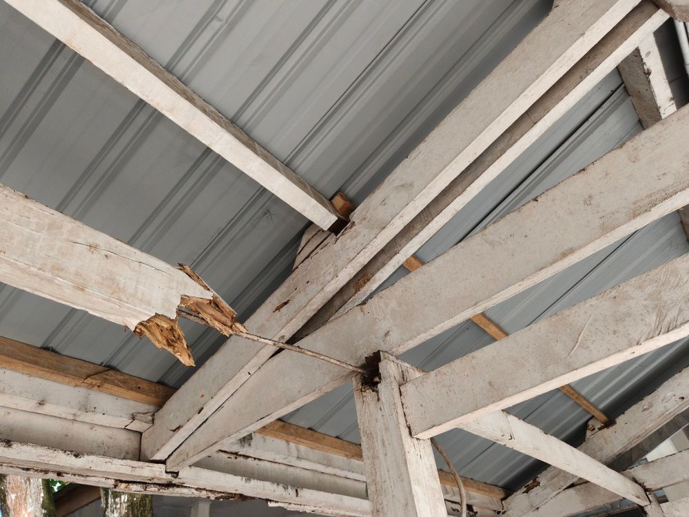Rusty white steel roof beams supporting a corrugated metal roof, with visible damage and peeling paint.