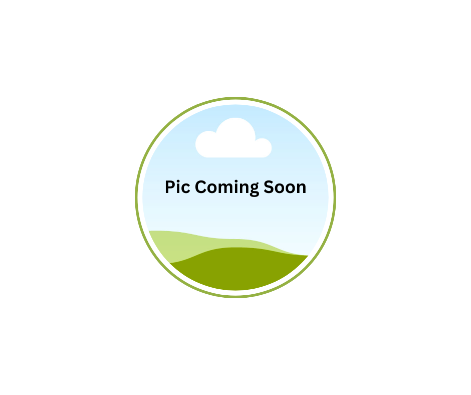 A picture of a landscape is coming soon in a circle.
