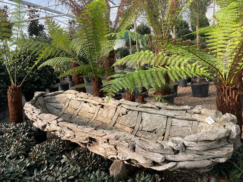 driftwood sculpture