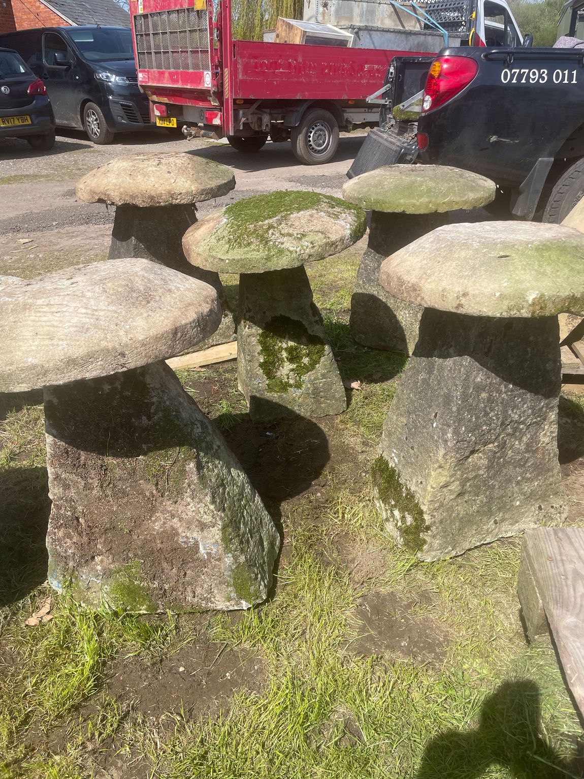 stone mushrooms