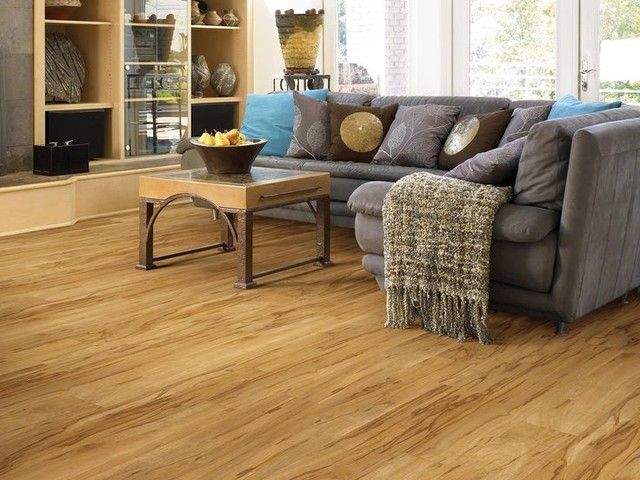 Living room with wood-look flooring, gray sofa with throw blanket, and a coffee table.