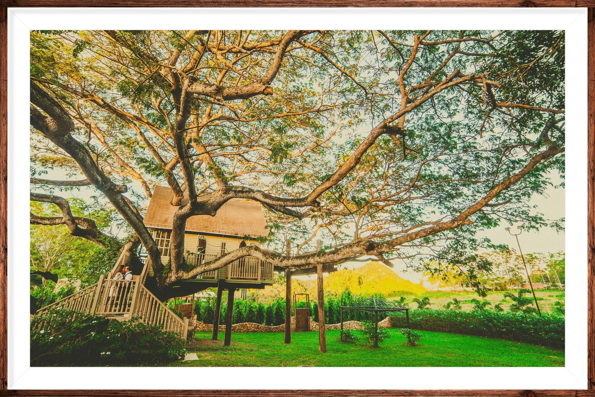 Treehouse nestled in large tree, on a grassy lawn.