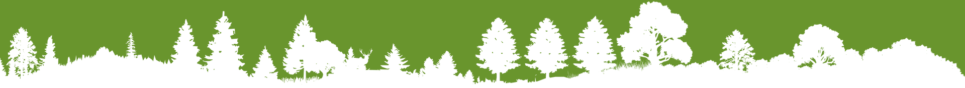 White Green Divider