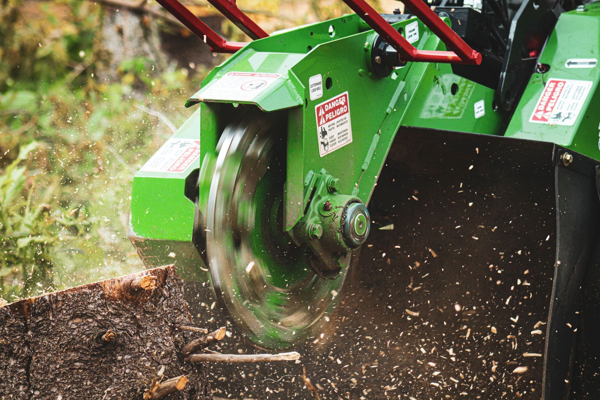Green stump grinder in action, grinding a tree stump.