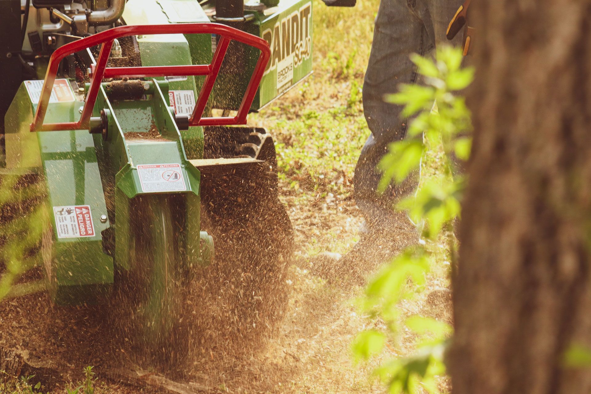 A stump grinder in action, grinding wood into mulch. Green machine, red guard, sawdust flying.