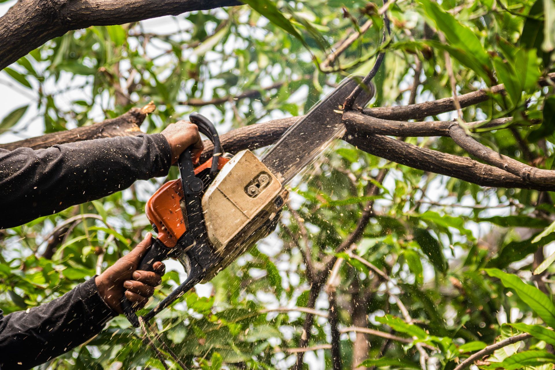 Person using chainsaw to cut a tree branch. Sparks and sawdust fly.
