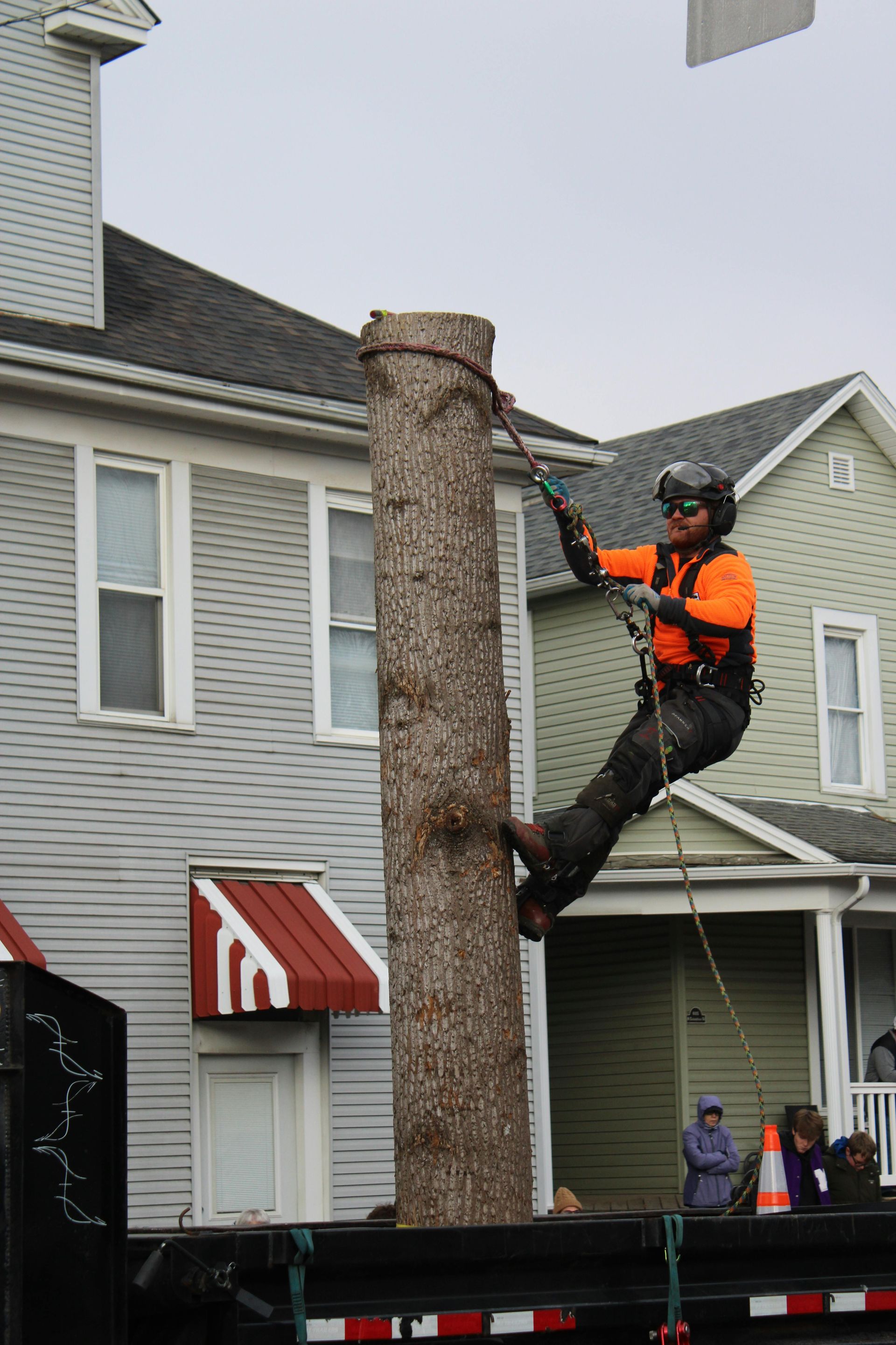 Arborist climbing a tree trunk secured to a truck, wearing safety gear, near two-story houses.