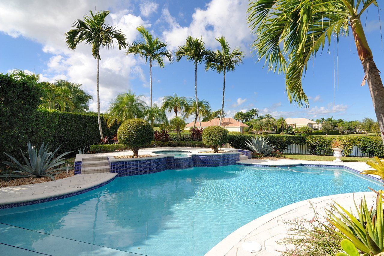 A luxury swimming pool with palm trees, blue sky, and lush landscaping.