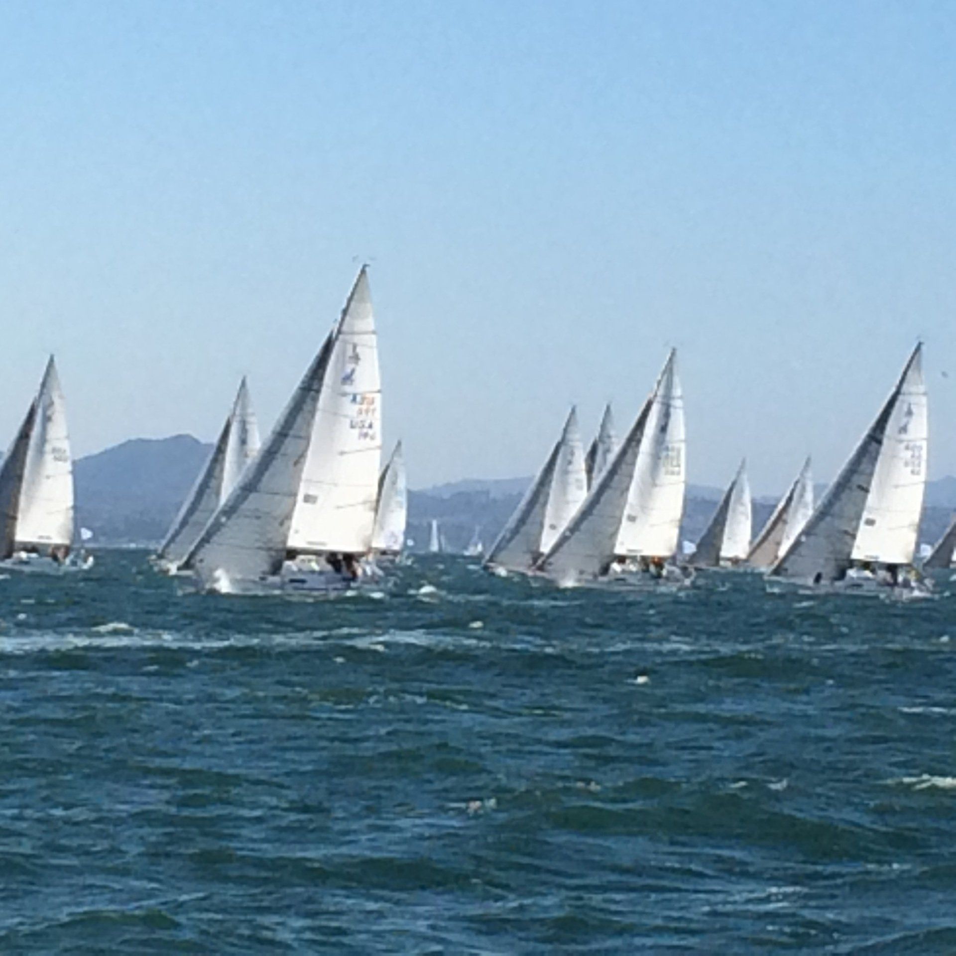 A large boat regatta as seen on the bay.