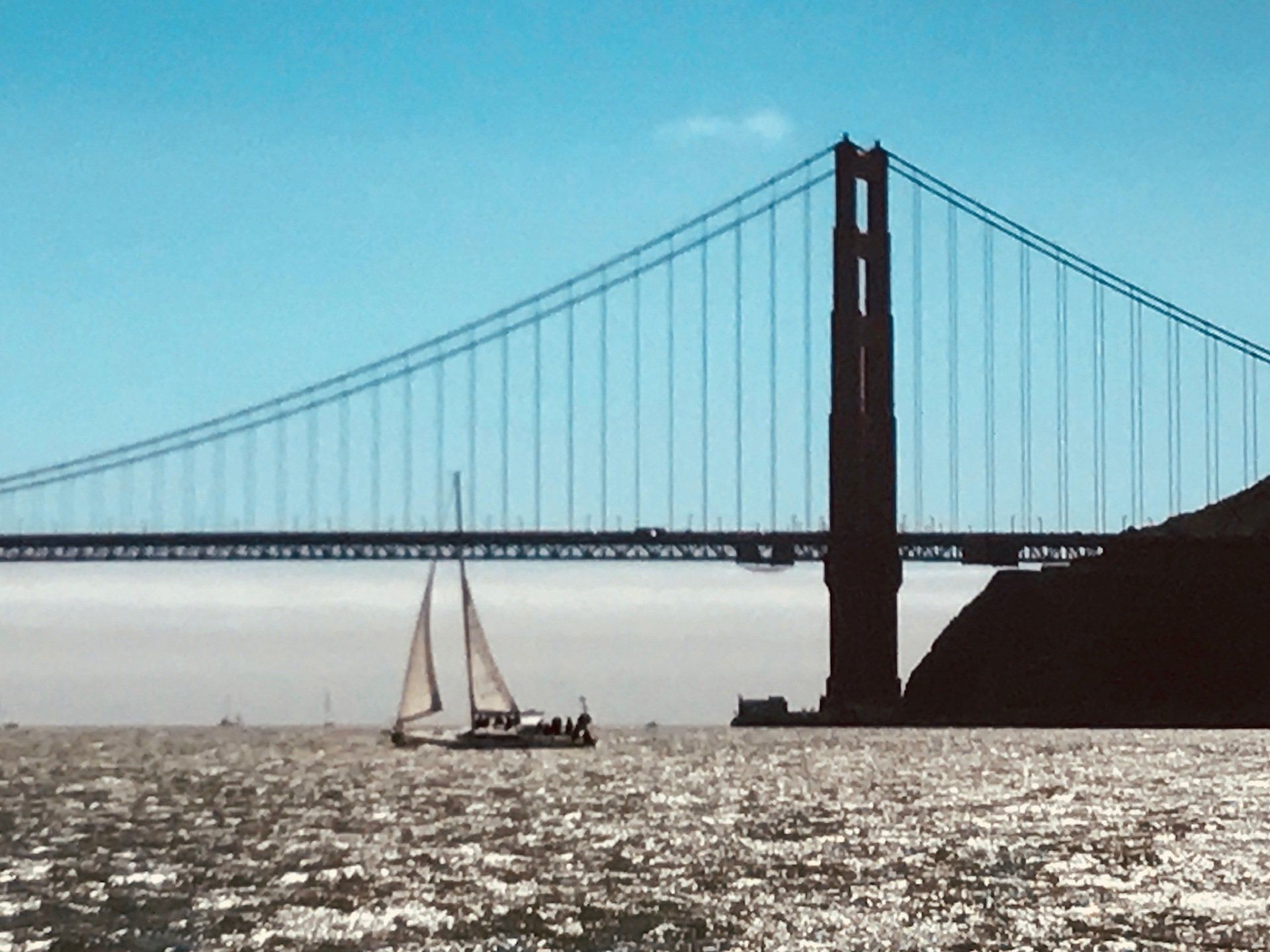 Bay Wolf sailing near the Golden Gate Bridge.