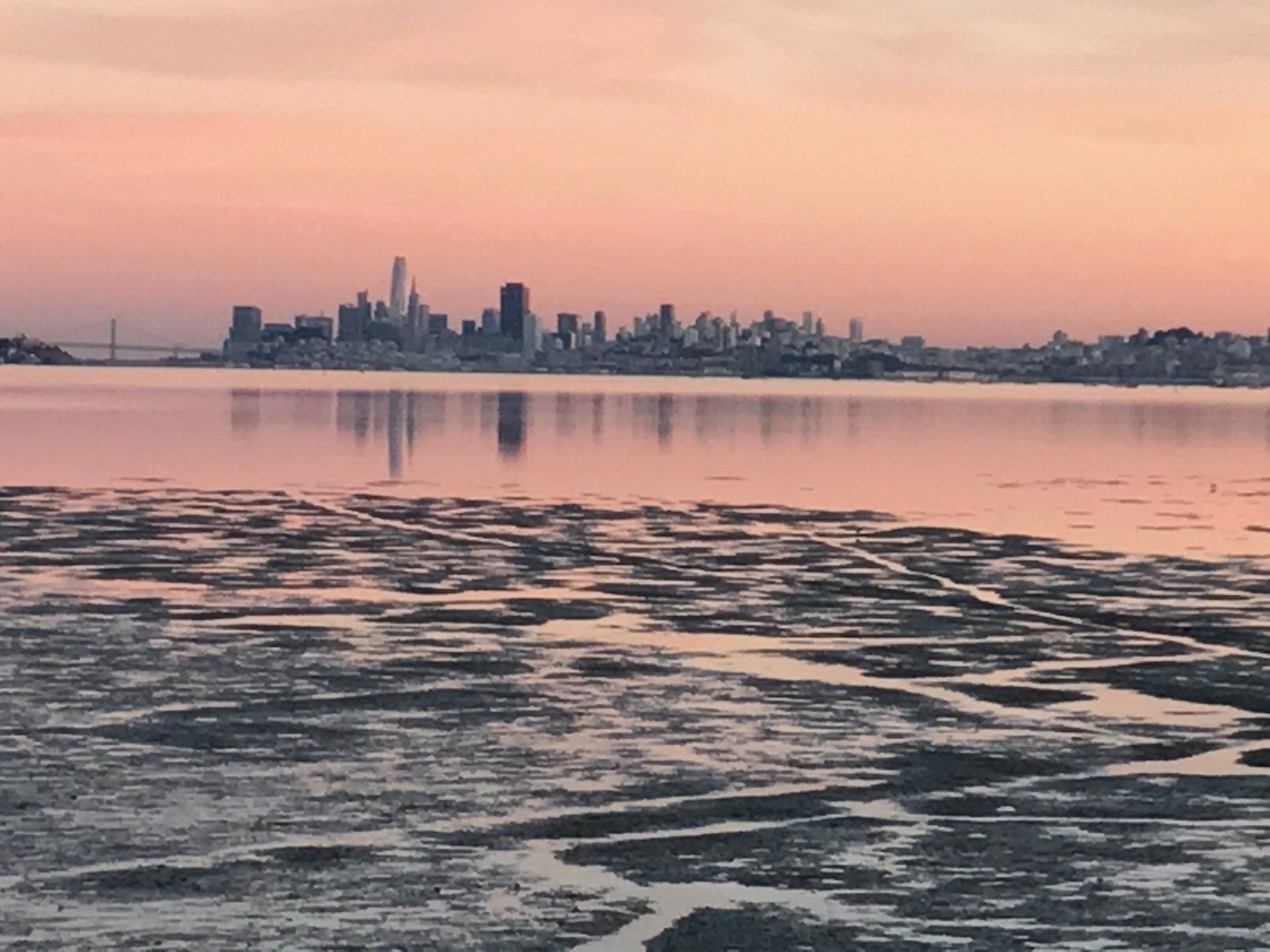 A pink sunset over a calm San Francisco Bay. 