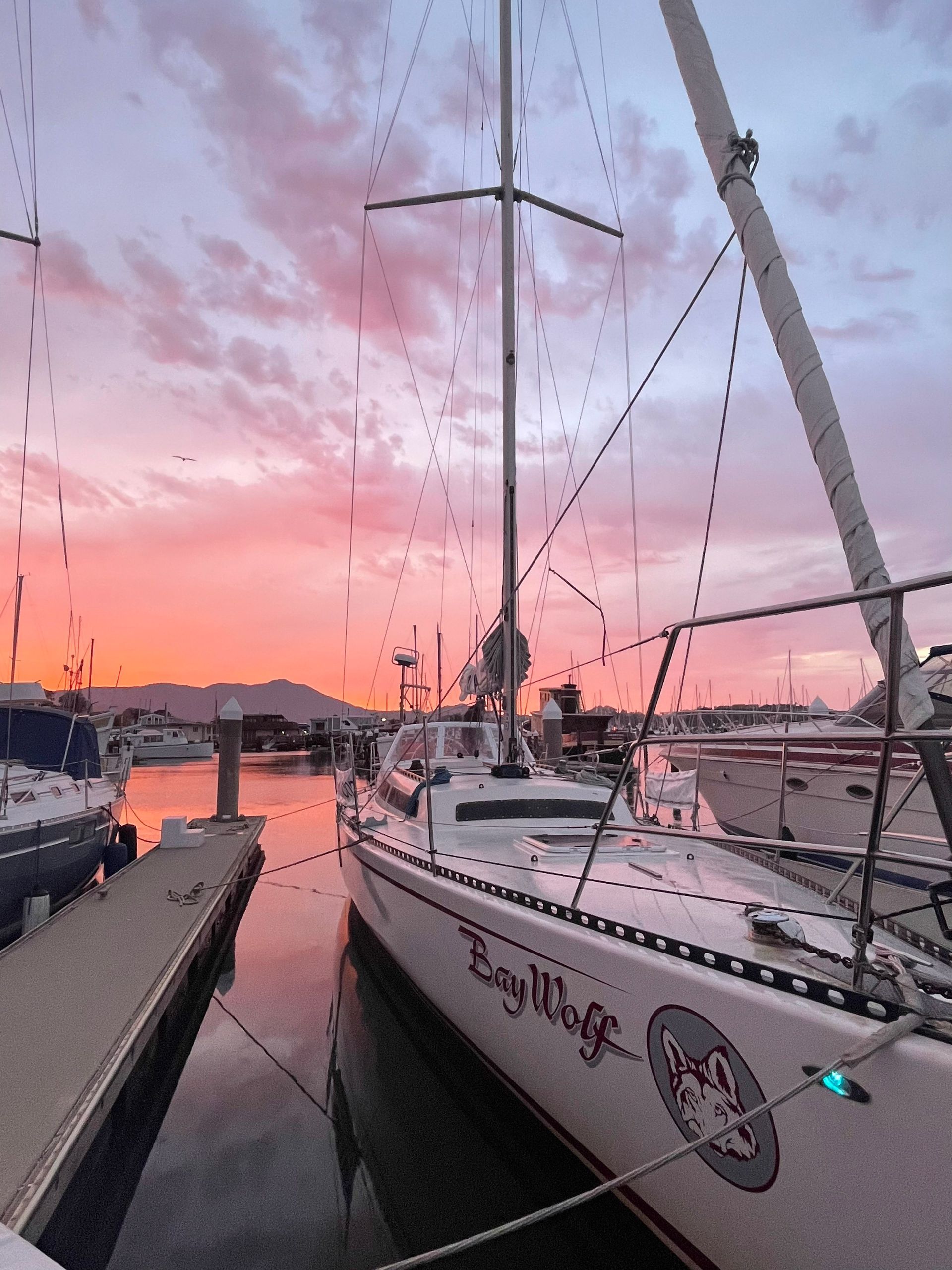 Bay Wolf at the dock and a beautiful pink sunset over Sausalito.