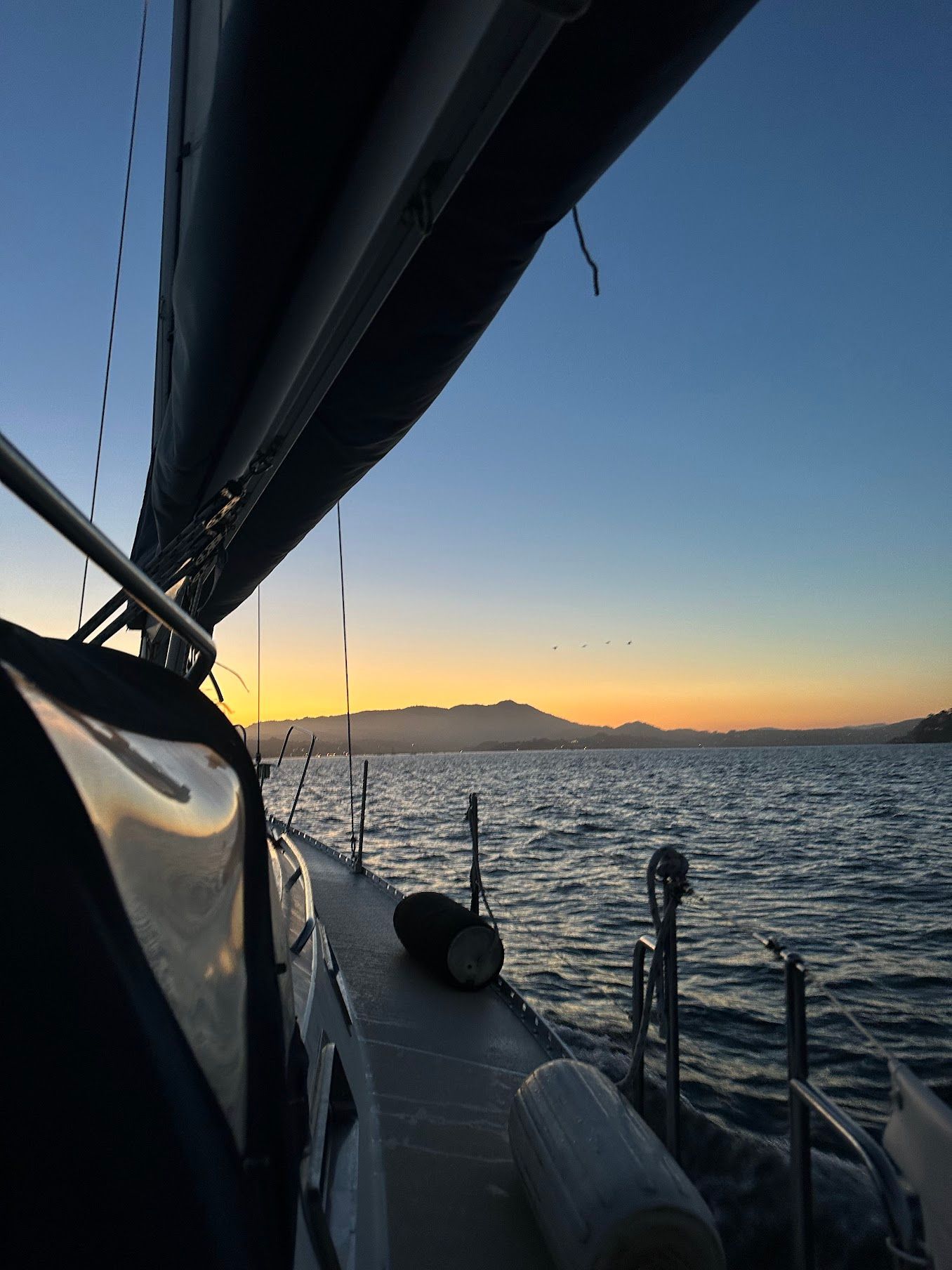 The sun setting as we sail back to the docks.