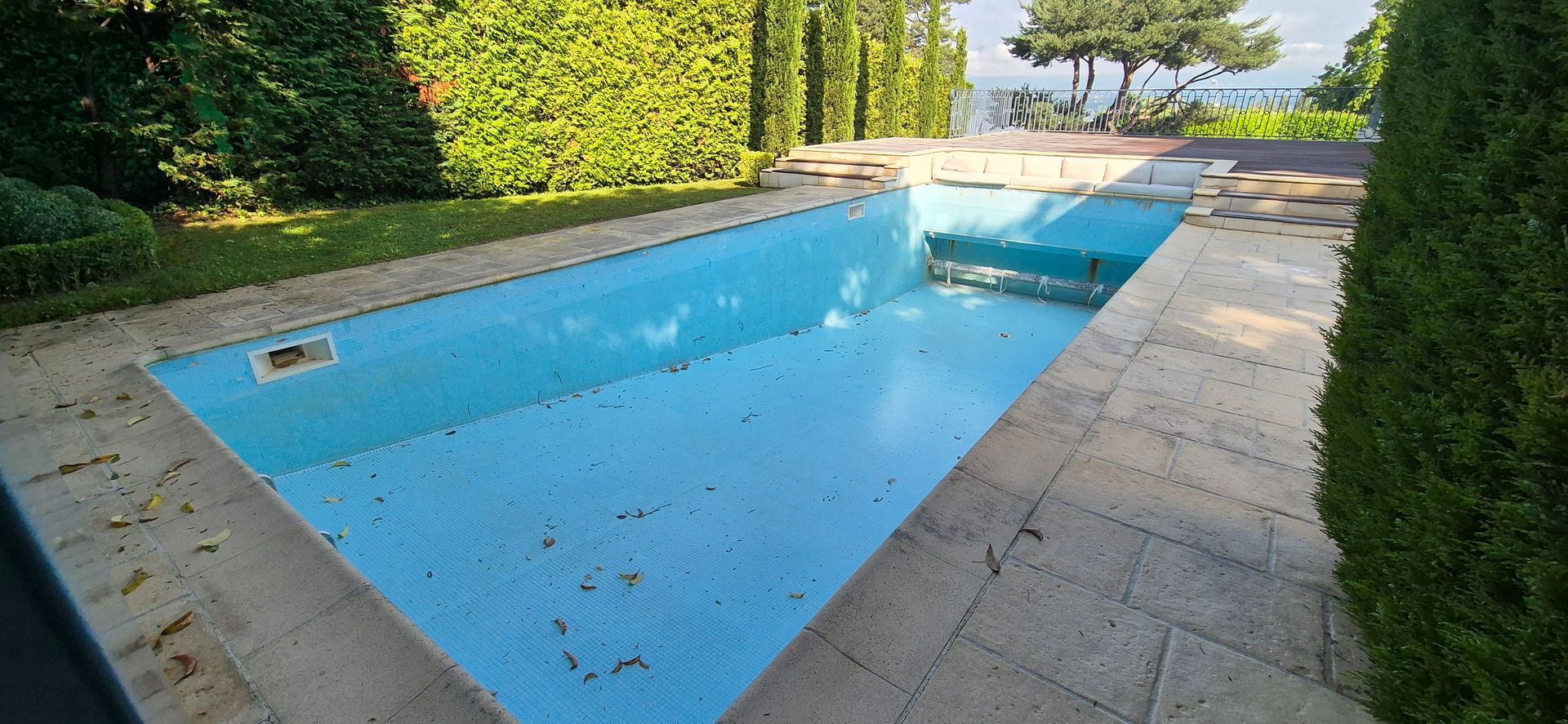 Une grande piscine entourée d'arbres et d'arbustes dans une cour arrière.