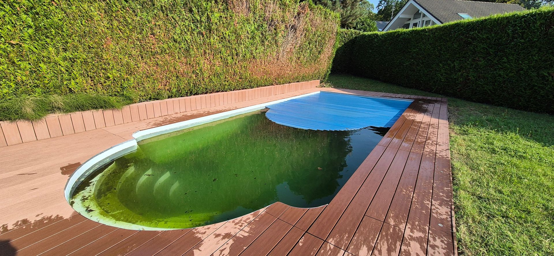 Une piscine avec une couverture bleue est couverte d'algues vertes.