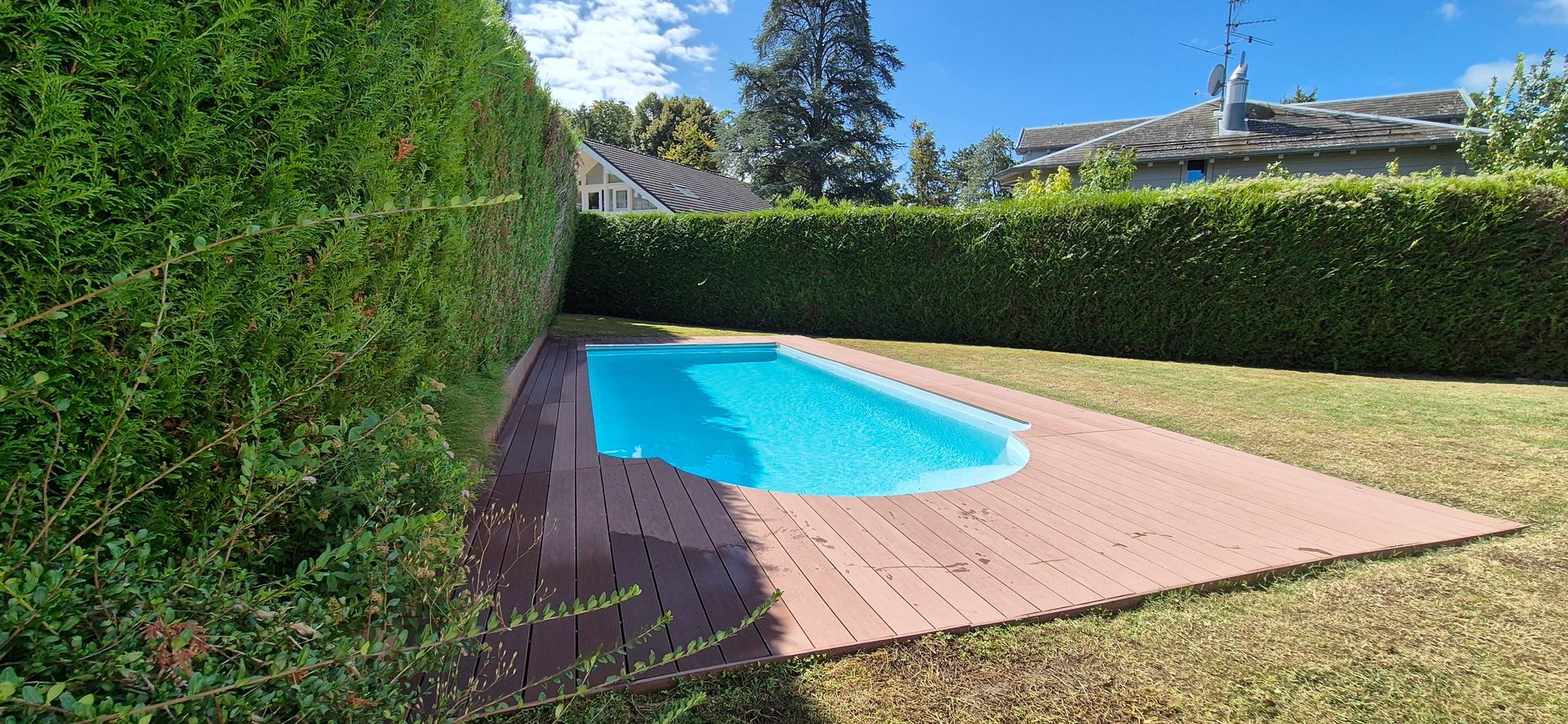 Une petite piscine est entourée d'une haie verte luxuriante.