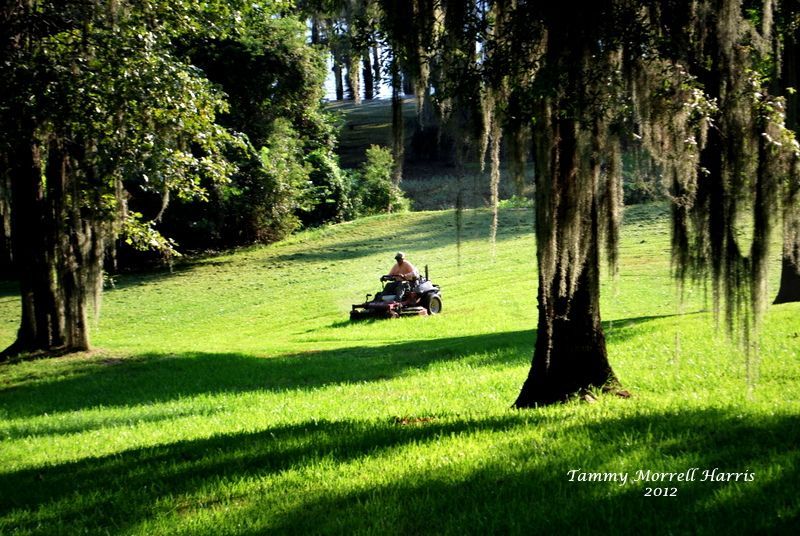 Lawn Mowing