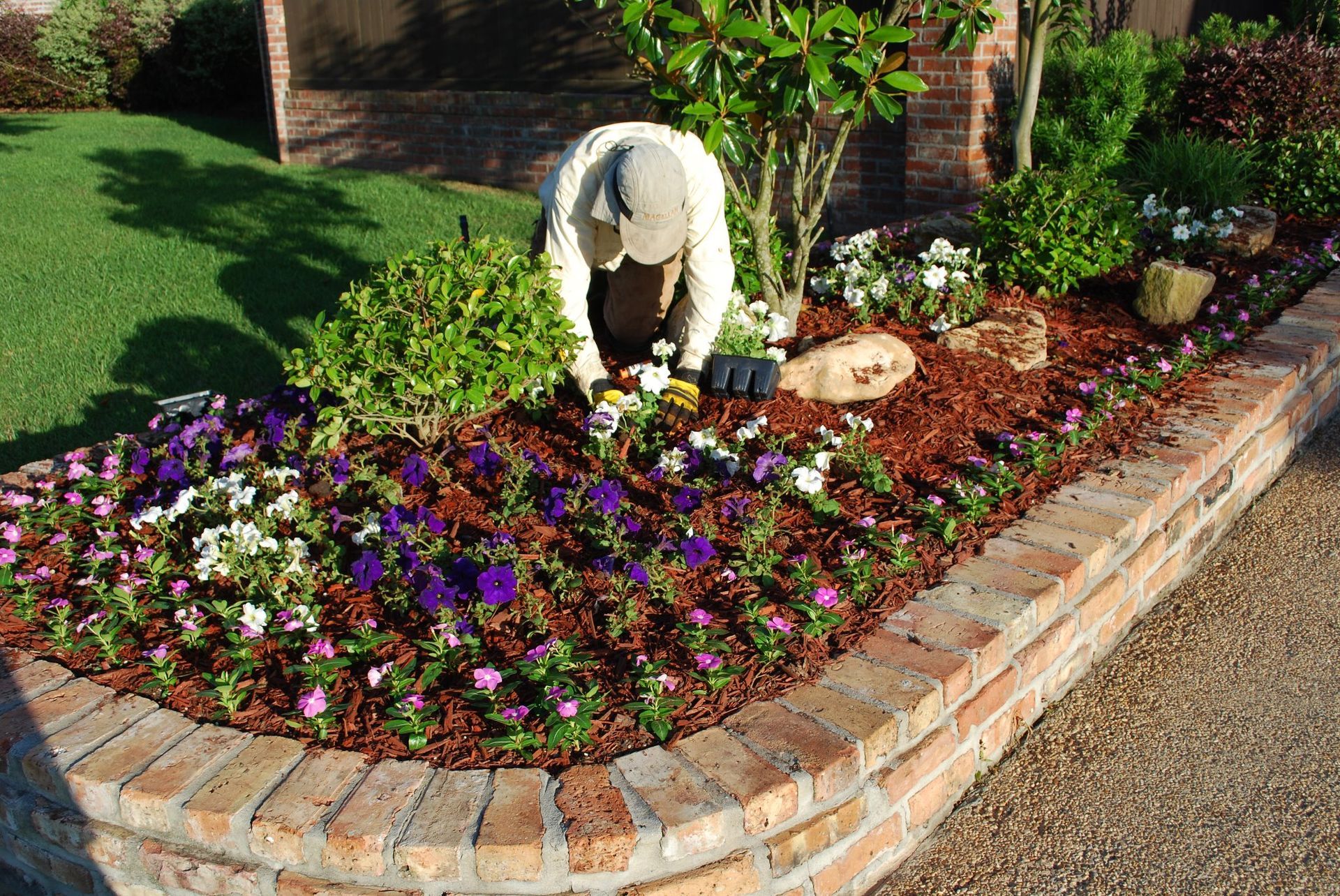 Planting Flower Plant