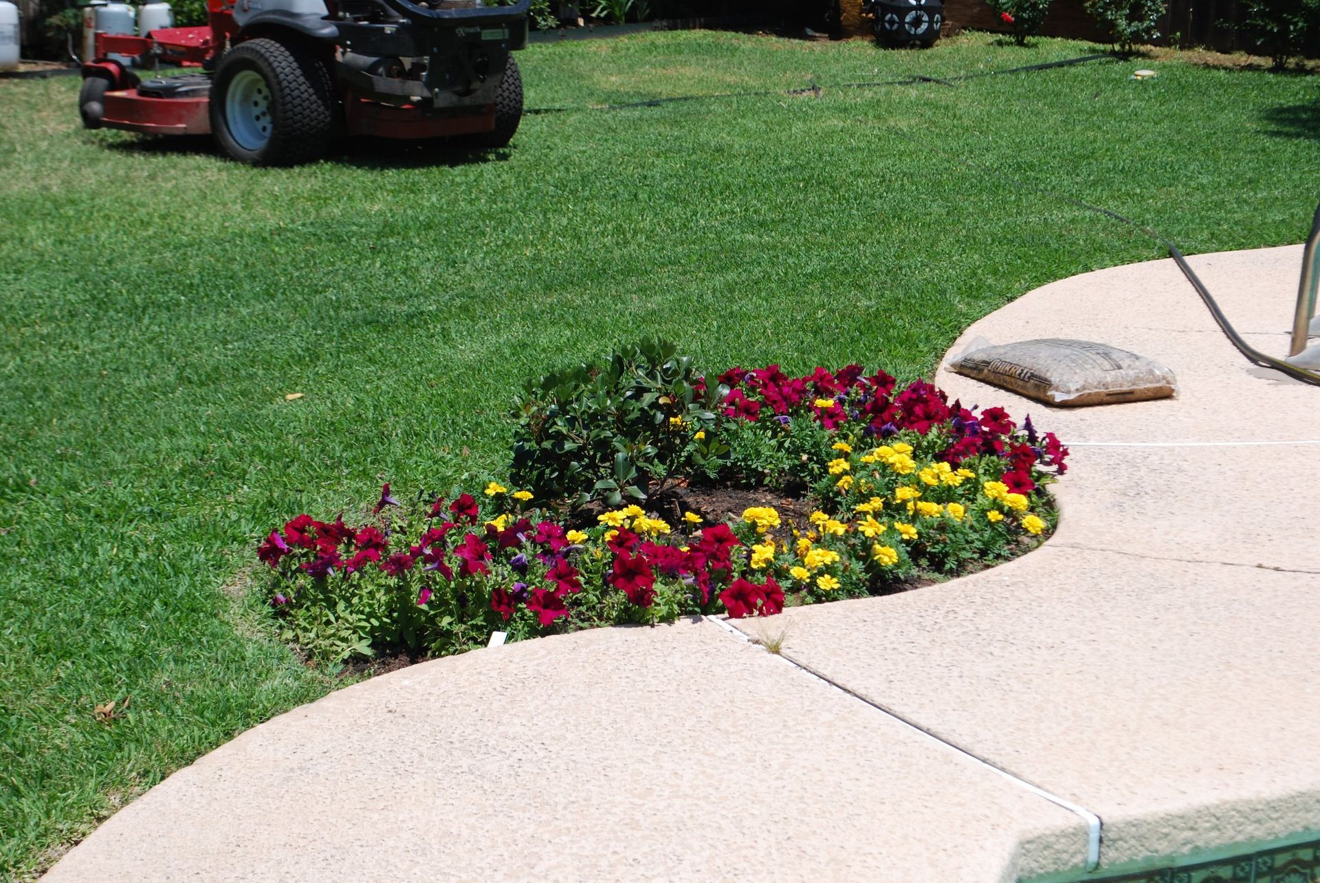 Curved flower bed with red and yellow flowers beside a concrete sidewalk and green lawn